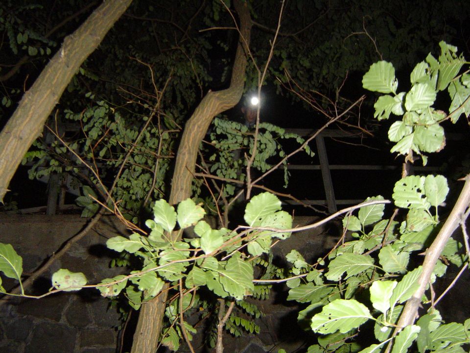 XIII Ogólnopolskie Marsze na Orientację Szlakiem opadłych liści s002 - PTTK Strzelin