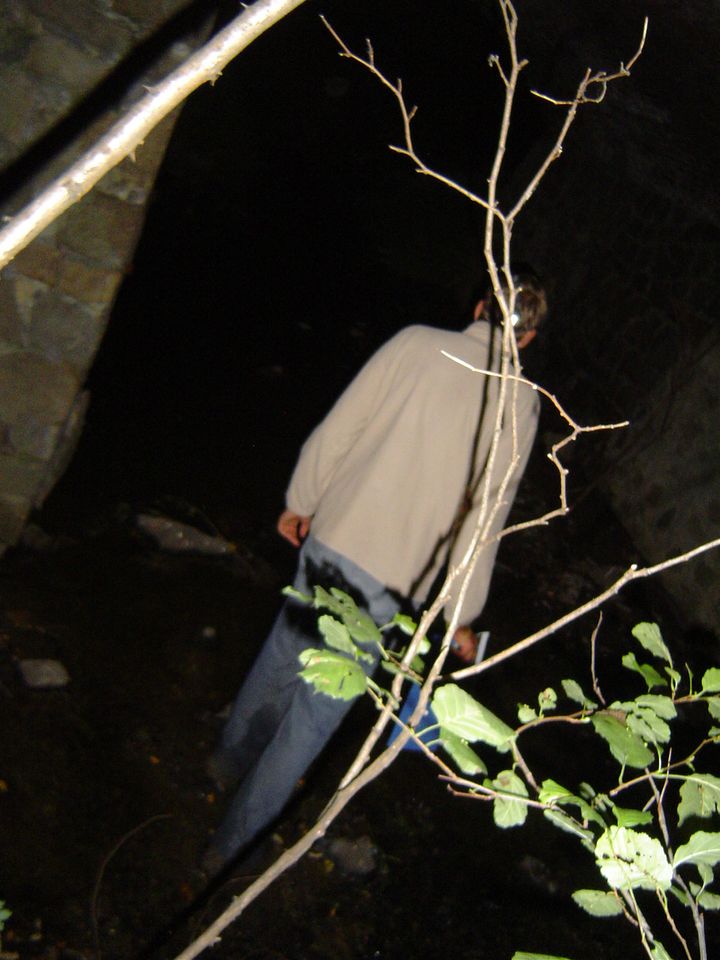 XIII Ogólnopolskie Marsze na Orientację Szlakiem opadłych liści s002 - PTTK Strzelin