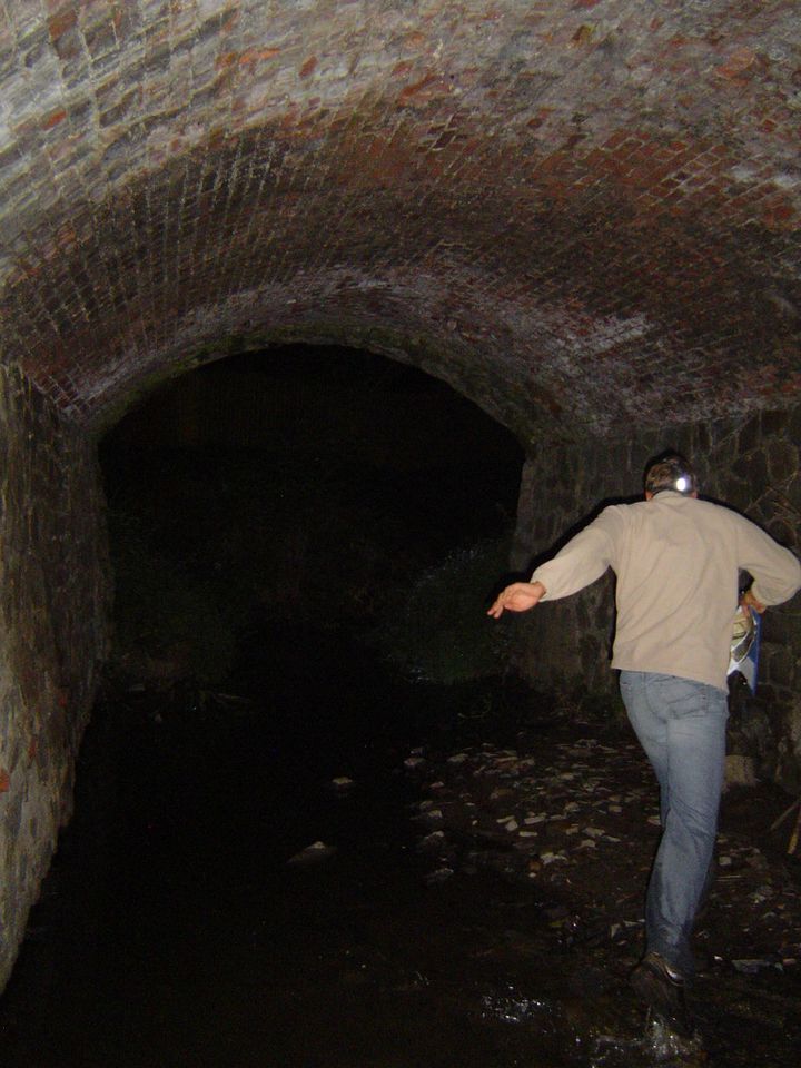 XIII Ogólnopolskie Marsze na Orientację Szlakiem opadłych liści s002 - PTTK Strzelin