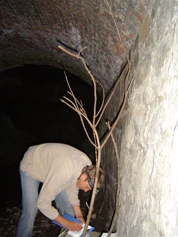 XIV Ogólnopolskie Marsze na Orientację Szlakiem opadłych liści s34 - PTTK Strzelin