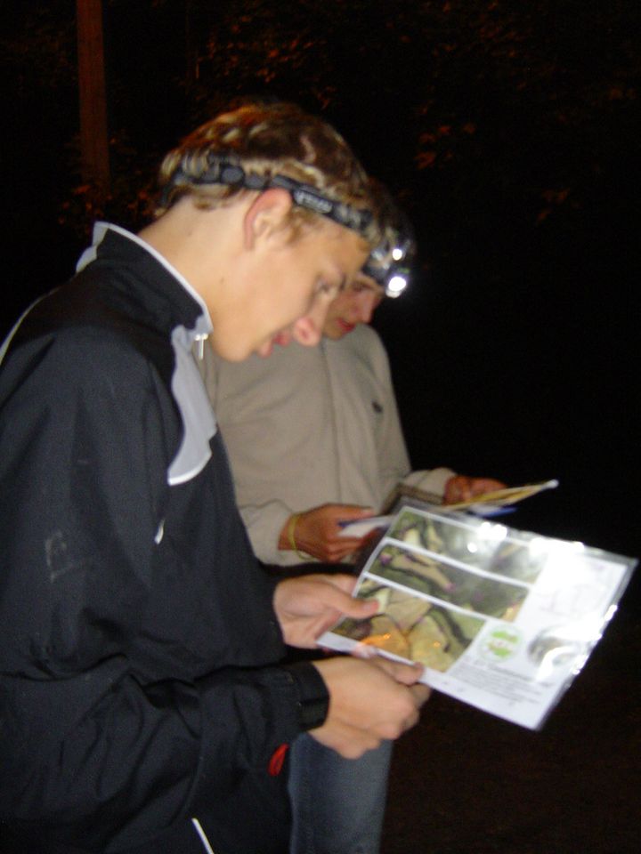 XIII Ogólnopolskie Marsze na Orientację Szlakiem opadłych liści s002 - PTTK Strzelin