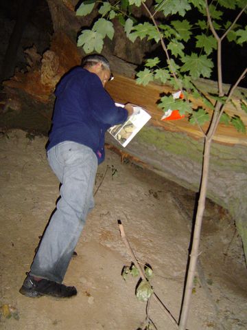 XIV Ogólnopolskie Marsze na Orientację Szlakiem opadłych liści s40 - PTTK Strzelin