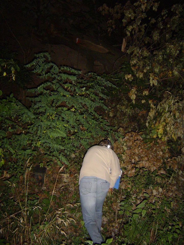 XIII Ogólnopolskie Marsze na Orientację Szlakiem opadłych liści s002 - PTTK Strzelin