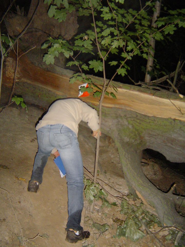 XIII Ogólnopolskie Marsze na Orientację Szlakiem opadłych liści s002 - PTTK Strzelin