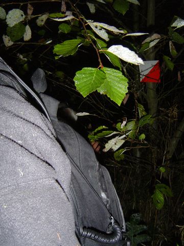 XIV Ogólnopolskie Marsze na Orientację Szlakiem opadłych liści s52 - PTTK Strzelin