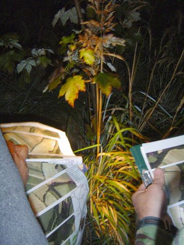 XIV Ogólnopolskie Marsze na Orientację Szlakiem opadłych liści s53 - PTTK Strzelin