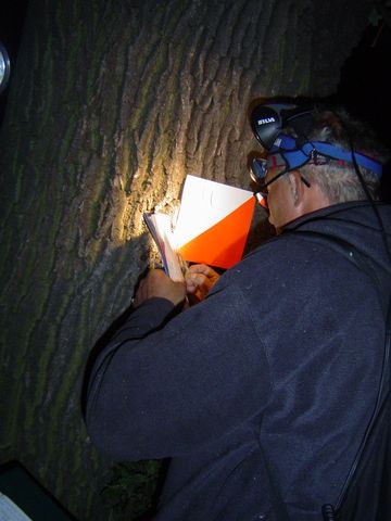 XIV Ogólnopolskie Marsze na Orientację Szlakiem opadłych liści s54 - PTTK Strzelin