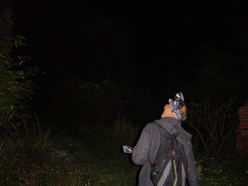 XIII Ogólnopolskie Marsze na Orientację Szlakiem opadłych liści s002 - PTTK Strzelin