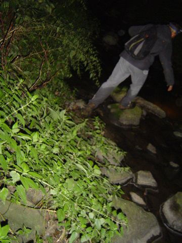 XIV Ogólnopolskie Marsze na Orientację Szlakiem opadłych liści s57 - PTTK Strzelin