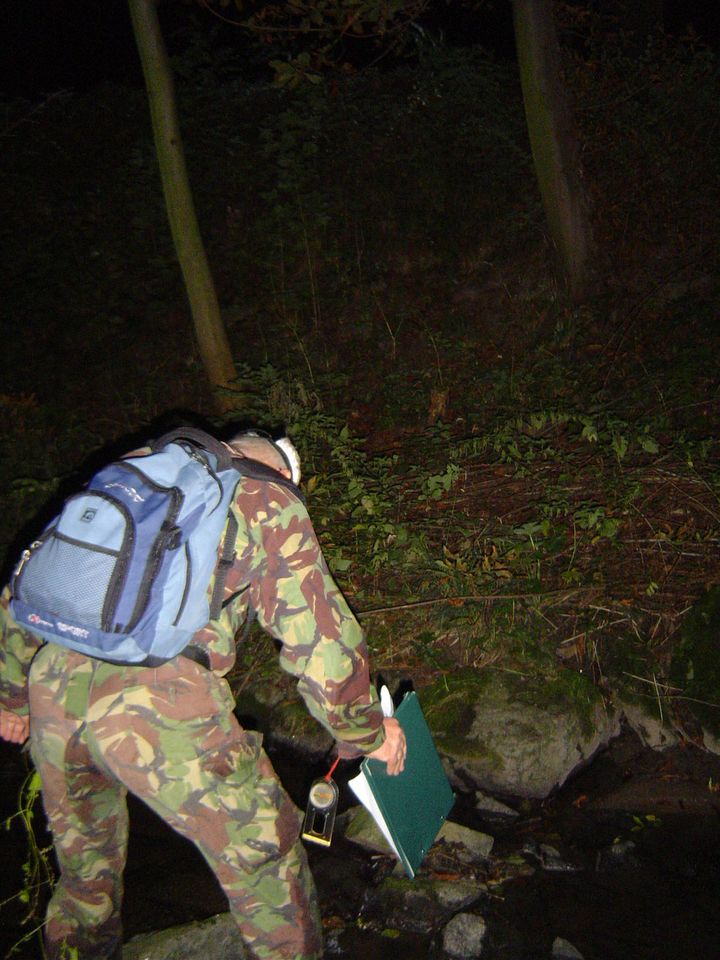 XIII Ogólnopolskie Marsze na Orientację Szlakiem opadłych liści s002 - PTTK Strzelin