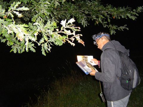 XIV Ogólnopolskie Marsze na Orientację Szlakiem opadłych liści s59 - PTTK Strzelin