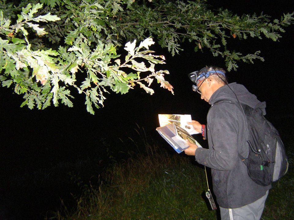 XIII Ogólnopolskie Marsze na Orientację Szlakiem opadłych liści s002 - PTTK Strzelin