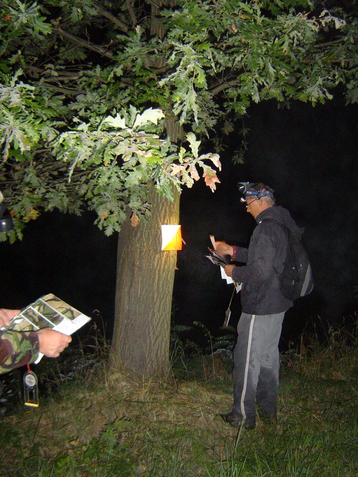 XIII Ogólnopolskie Marsze na Orientację Szlakiem opadłych liści s002 - PTTK Strzelin