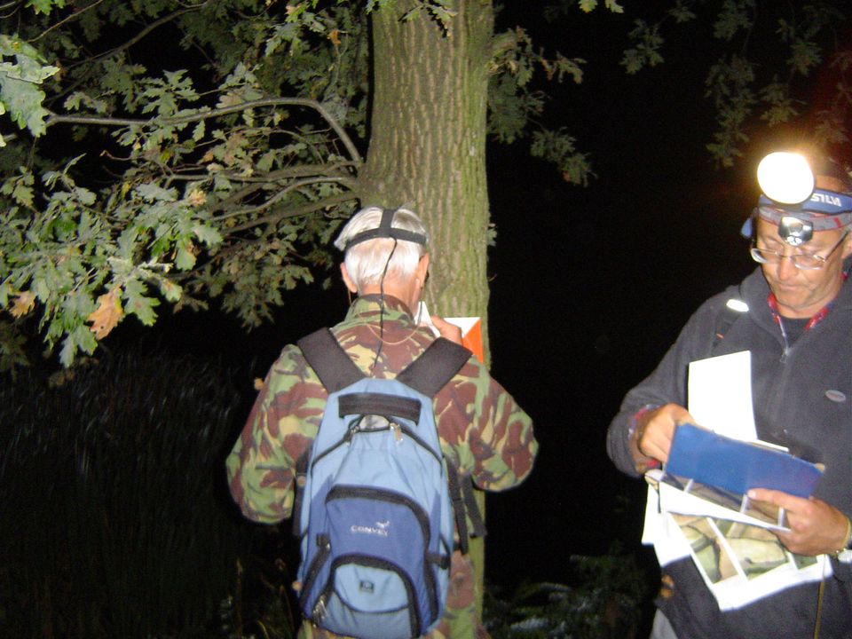 XIII Ogólnopolskie Marsze na Orientację Szlakiem opadłych liści s002 - PTTK Strzelin