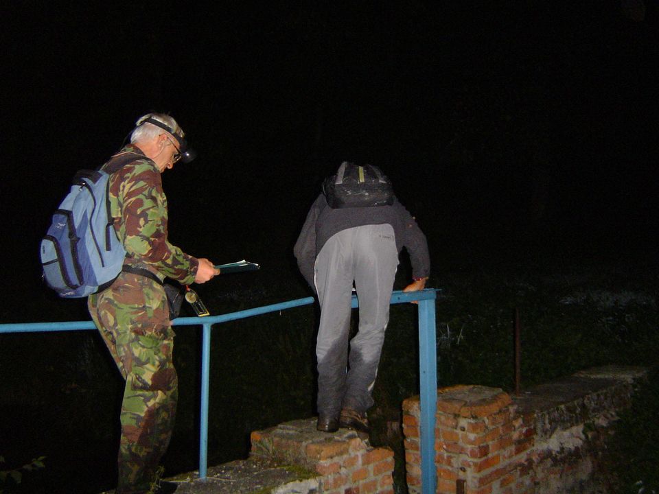 XIII Ogólnopolskie Marsze na Orientację Szlakiem opadłych liści s002 - PTTK Strzelin