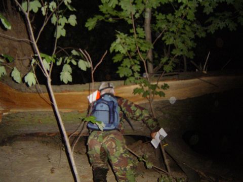 XIV Ogólnopolskie Marsze na Orientację Szlakiem opadłych liści s64 - PTTK Strzelin