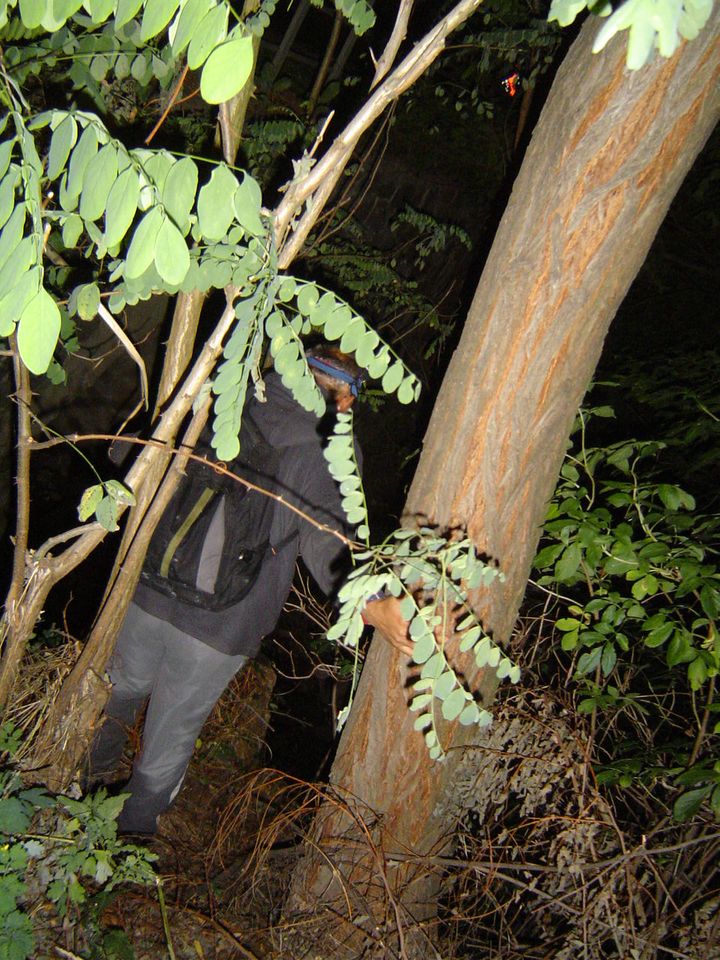 XIII Ogólnopolskie Marsze na Orientację Szlakiem opadłych liści s002 - PTTK Strzelin