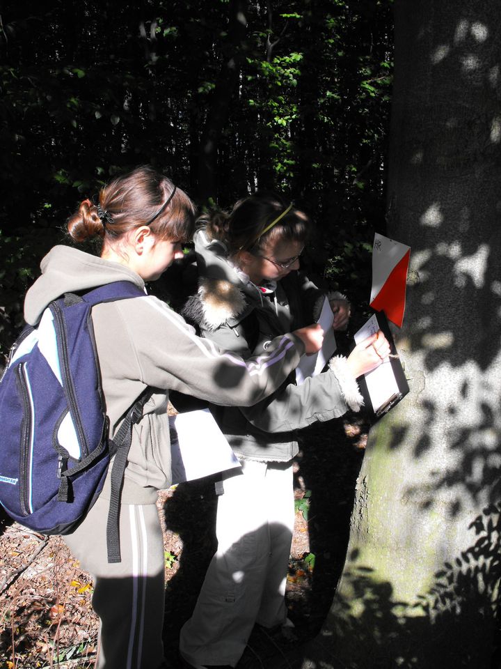 XIII Ogólnopolskie Marsze na Orientację Szlakiem opadłych liści s002 - PTTK Strzelin