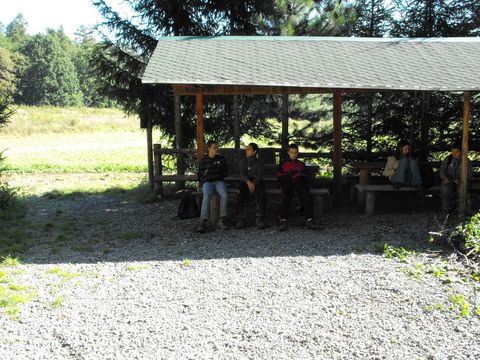 XIV Ogólnopolskie Marsze na Orientację Szlakiem opadłych liści s79 - PTTK Strzelin