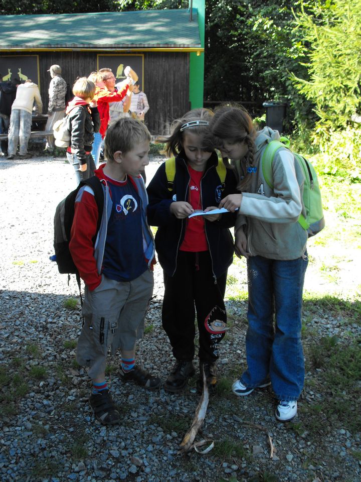 XIII Ogólnopolskie Marsze na Orientację Szlakiem opadłych liści s002 - PTTK Strzelin