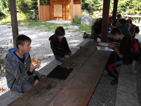 XIV Ogólnopolskie Marsze na Orientację Szlakiem opadłych liści s95 - PTTK Strzelin