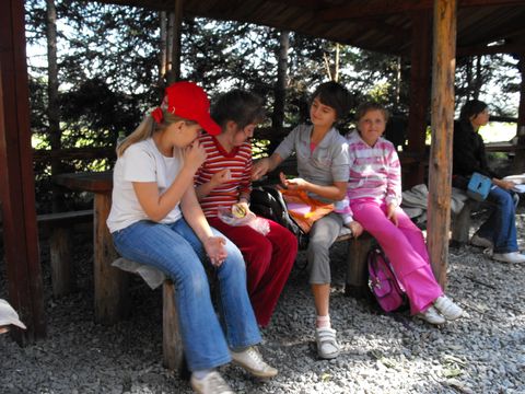 XIV Ogólnopolskie Marsze na Orientację Szlakiem opadłych liści s98 - PTTK Strzelin