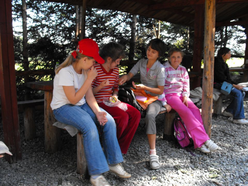 XIII Ogólnopolskie Marsze na Orientację Szlakiem opadłych liści s002 - PTTK Strzelin