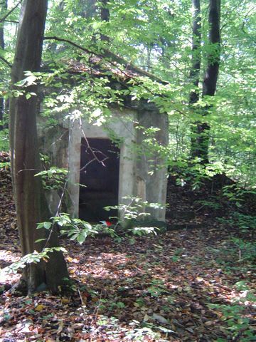 XV Marsze na Orientacj� 'Szlakiem opad�ych li�ci'