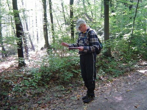 XV Marsze na Orientacj� 'Szlakiem opad�ych li�ci'