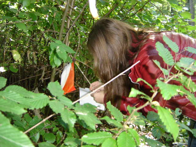 XVI Marsze na Orientacj� 'Szlakiem opad�ych li�ci'