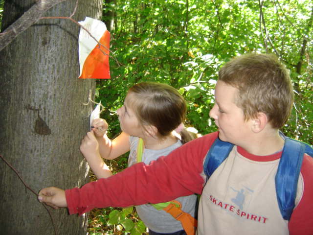 XVI Marsze na Orientacj� 'Szlakiem opad�ych li�ci'