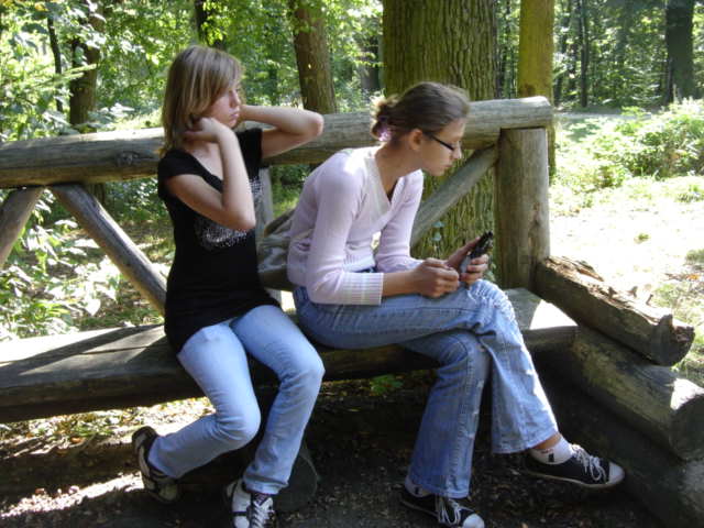 XVI Marsze na Orientacj� 'Szlakiem opad�ych li�ci'