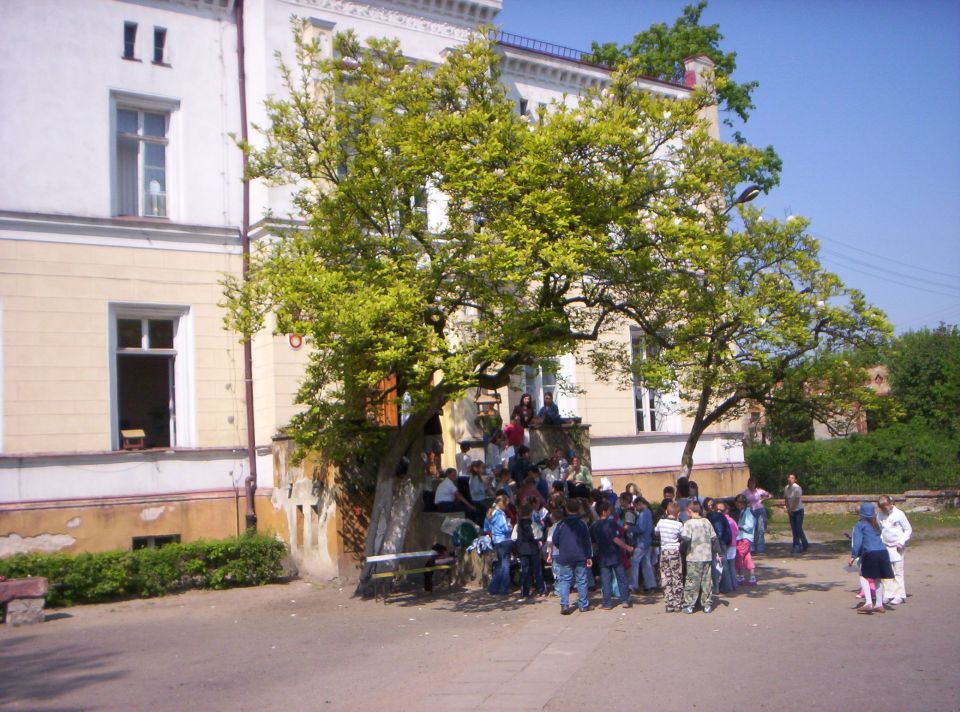 XI Marsz na Orientację Powitanie wiosny s002 - PTTK Strzelin