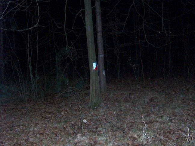 II Zimowy Marsz na Orientację s9 - PTTK Strzelin