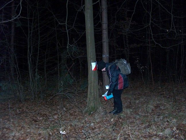 II Zimowy Marsz na Orientację s11 - PTTK Strzelin