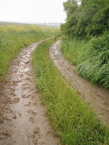 W drodze na Ska�ki Stoleckie