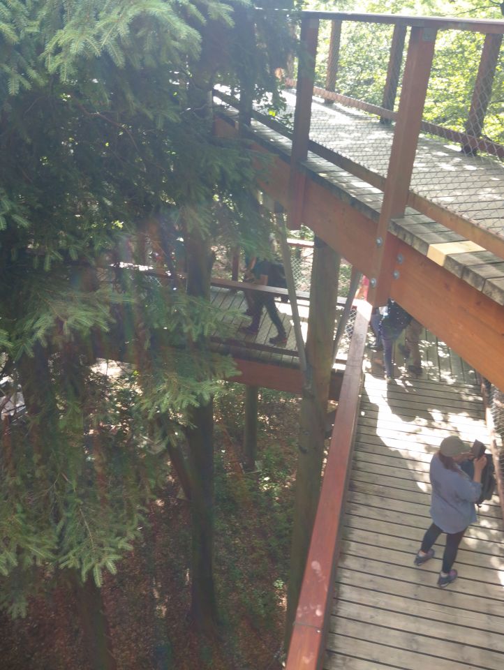 Wycieczka Malá Fatra s004 - PTTK Strzelin