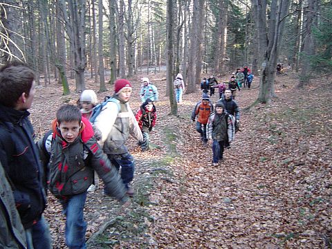 Rajd w G�ry Opawskie - podej�cie na Zamkow� G�r�