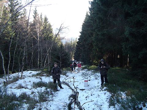 Rajd w G�ry Opawskie - podej�cie na Biskupi� Kop�