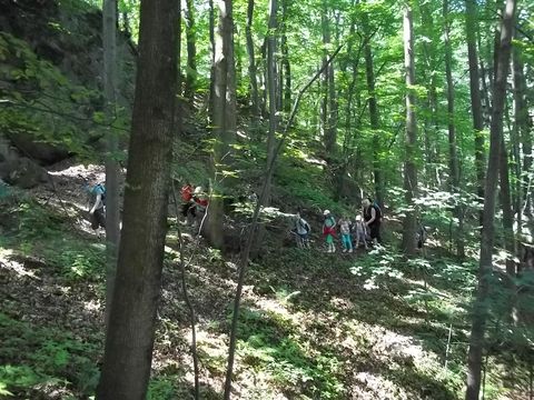 Wycieczka na Biskupi� Kop� - w drodze do Piekie�ka s011 - PTTK Strzelin