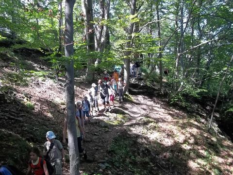 Wycieczka na Biskupi� Kop� - w drodze do Piekie�ka s015 - PTTK Strzelin