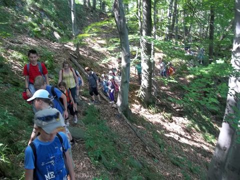 Wycieczka na Biskupi� Kop� - w drodze do Piekie�ka s016 - PTTK Strzelin