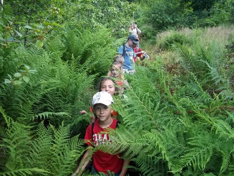Wycieczka na Biskupi� Kop� - zej�cie do Jarno�t�wka s072 - PTTK Strzelin