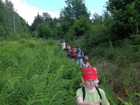 Wycieczka na Biskupi� Kop� - zej�cie do Jarno�t�wka s074 - PTTK Strzelin