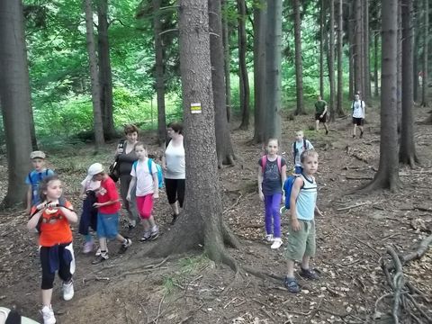 Wycieczka na Biskupi� Kop� - zej�cie do Jarno�t�wka s077 - PTTK Strzelin