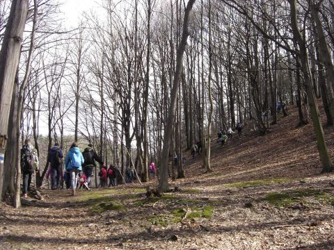 Wycieczka Na Biskupi� Kop� - podej�cie do Piekie�ka s025 - PTTK Strzelin