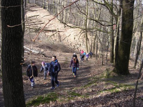 Wycieczka Na Biskupi� Kop� - podej�cie do Piekie�ka s026 - PTTK Strzelin