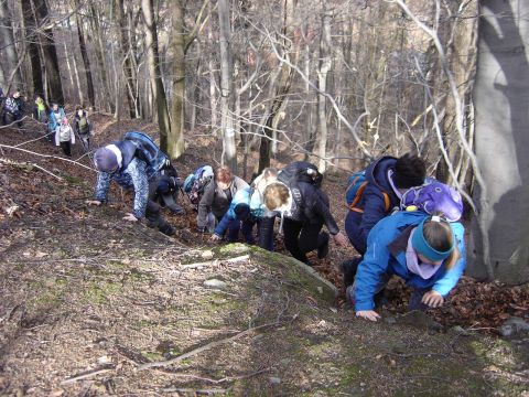 Wycieczka Na Biskupi� Kop� - podej�cie do Piekie�ka s028 - PTTK Strzelin