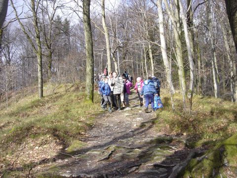 Wycieczka Biskupi� Kop� - w drodze do schroniska s061 - PTTK Strzelin