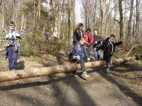 Wycieczka Biskupi� Kop� - w drodze do schroniska s062 - PTTK Strzelin